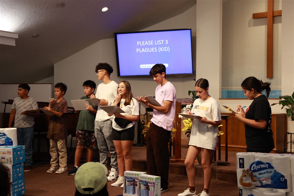 ICG12362